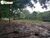 Terreno, 4840 hectares - Foto 1