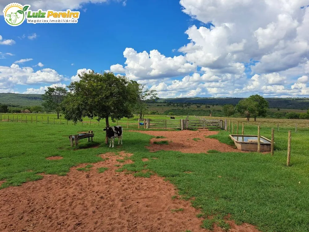 Terreno, 716 m² - Foto 6