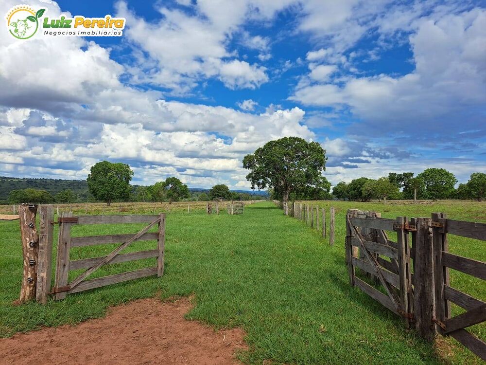 Terreno, 716 m² - Foto 3