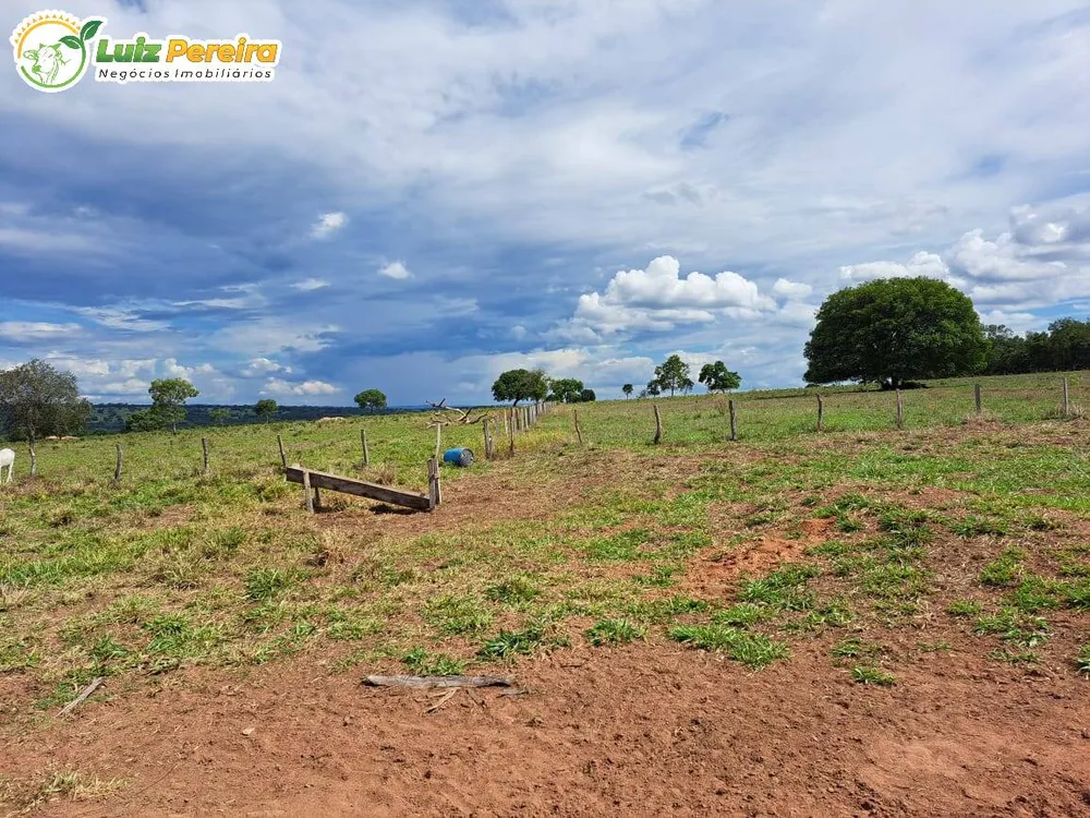 Terreno, 716 m² - Foto 13