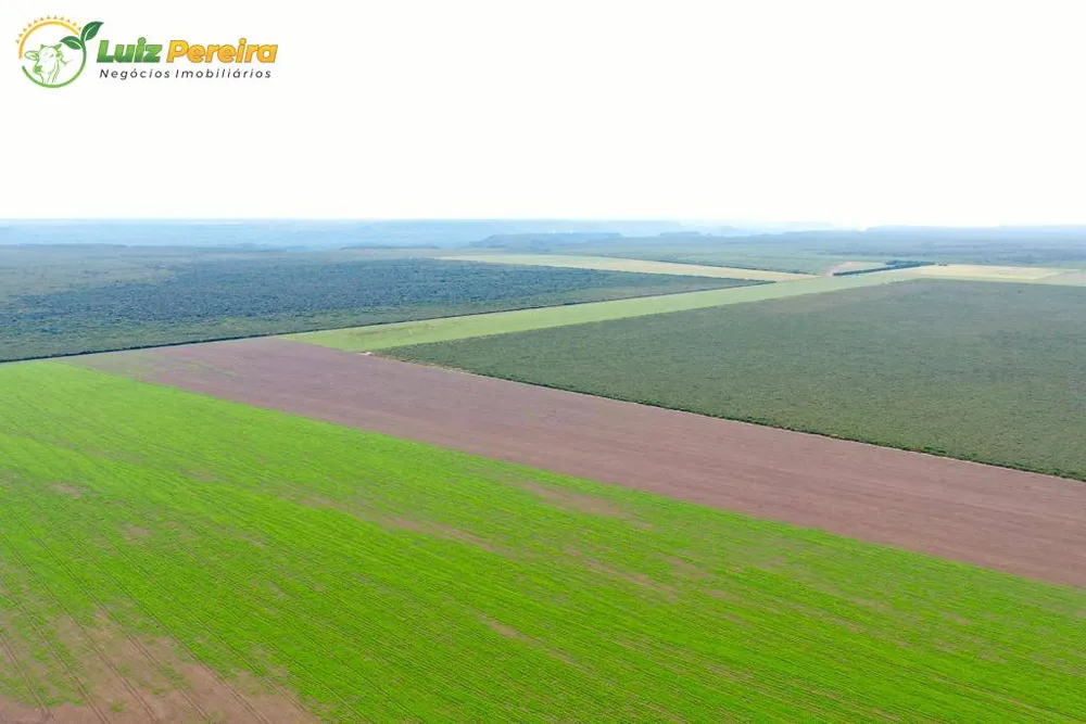 Terreno, 2600 m² - Foto 7