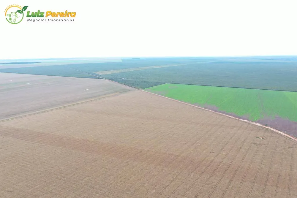 Terreno, 2600 m² - Foto 10