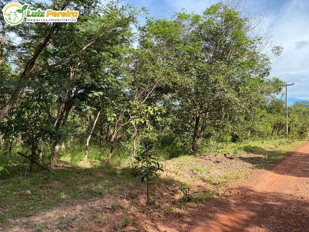 Terreno, 2313 hectares - Foto 18