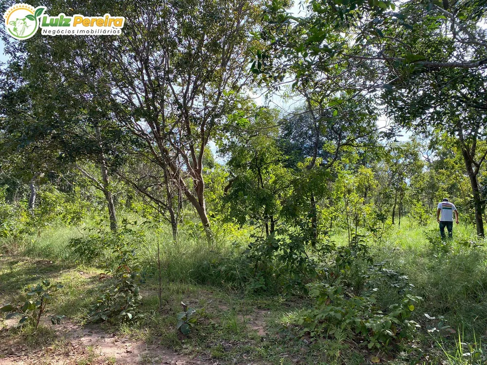 Terreno, 2313 hectares - Foto 4