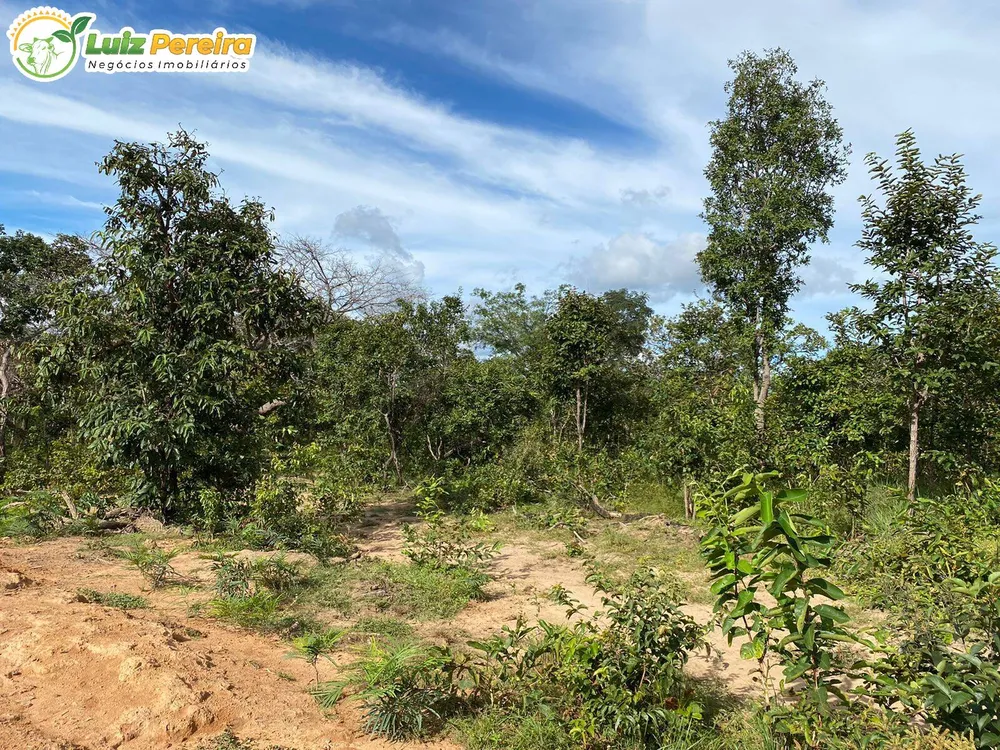 Terreno, 2313 hectares - Foto 1
