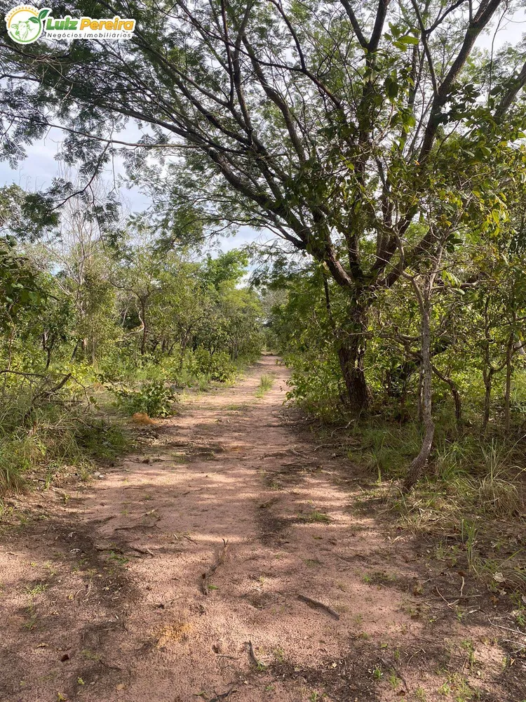 Terreno, 2313 hectares - Foto 10
