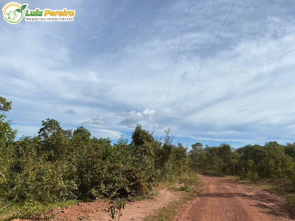Terreno, 2313 hectares - Foto 17