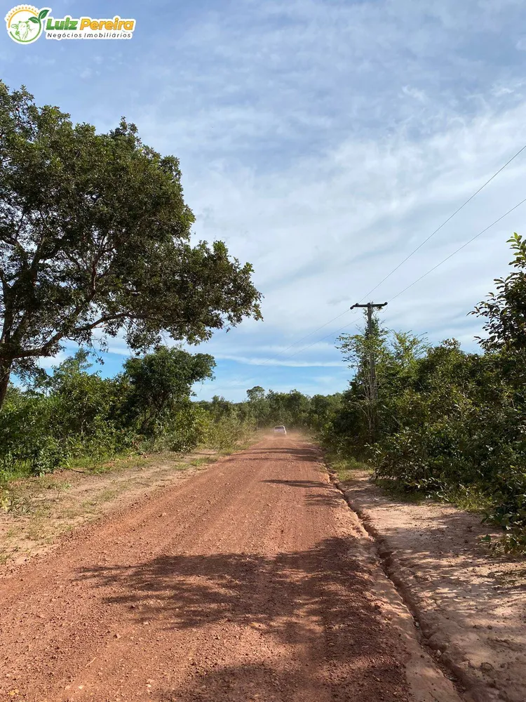Terreno, 2313 hectares - Foto 11