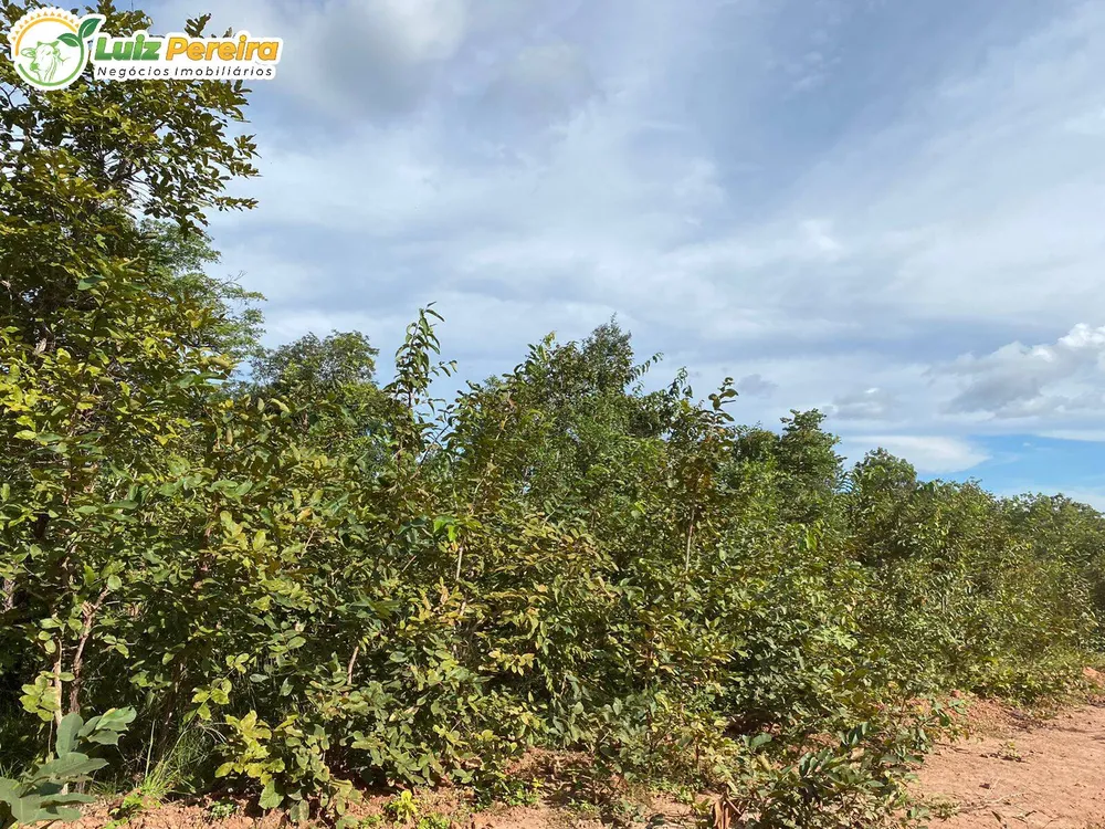 Terreno, 2313 hectares - Foto 3