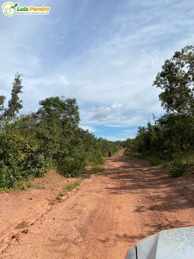 Terreno, 2313 hectares - Foto 13