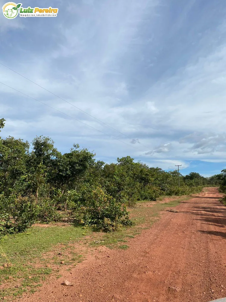 Terreno, 2313 hectares - Foto 12