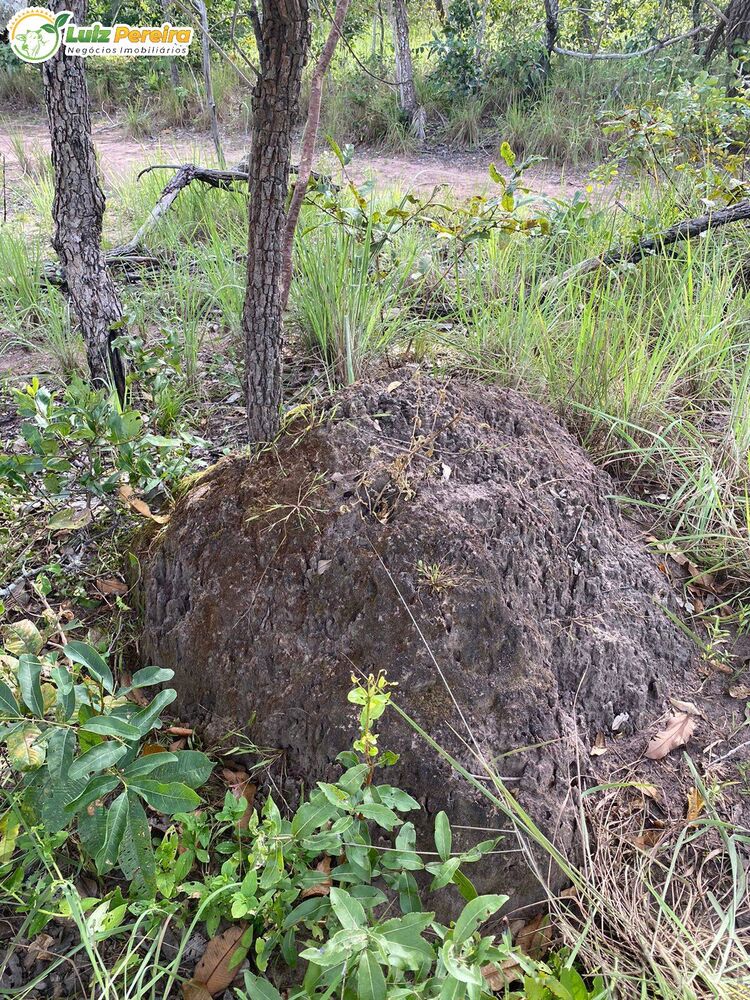 Terreno, 2313 hectares - Foto 2