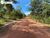 Terreno, 2313 hectares - Foto 4
