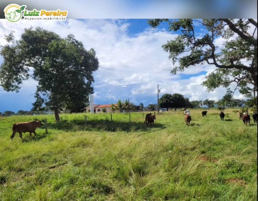 Terreno à venda, 295m² - Foto 4