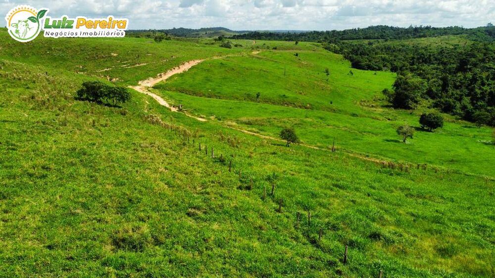 Terreno, 2250 m² - Foto 5