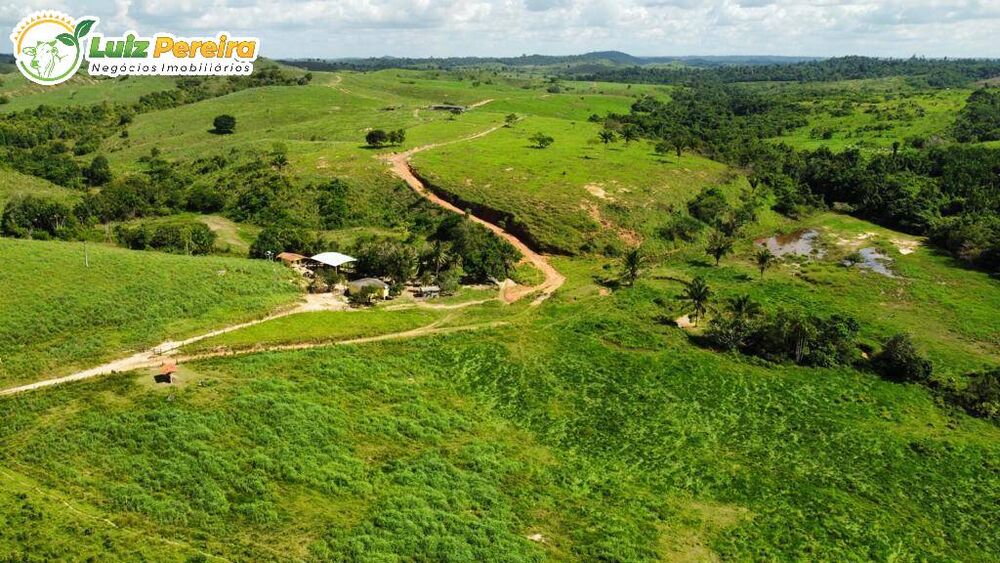 Terreno, 2250 m² - Foto 1