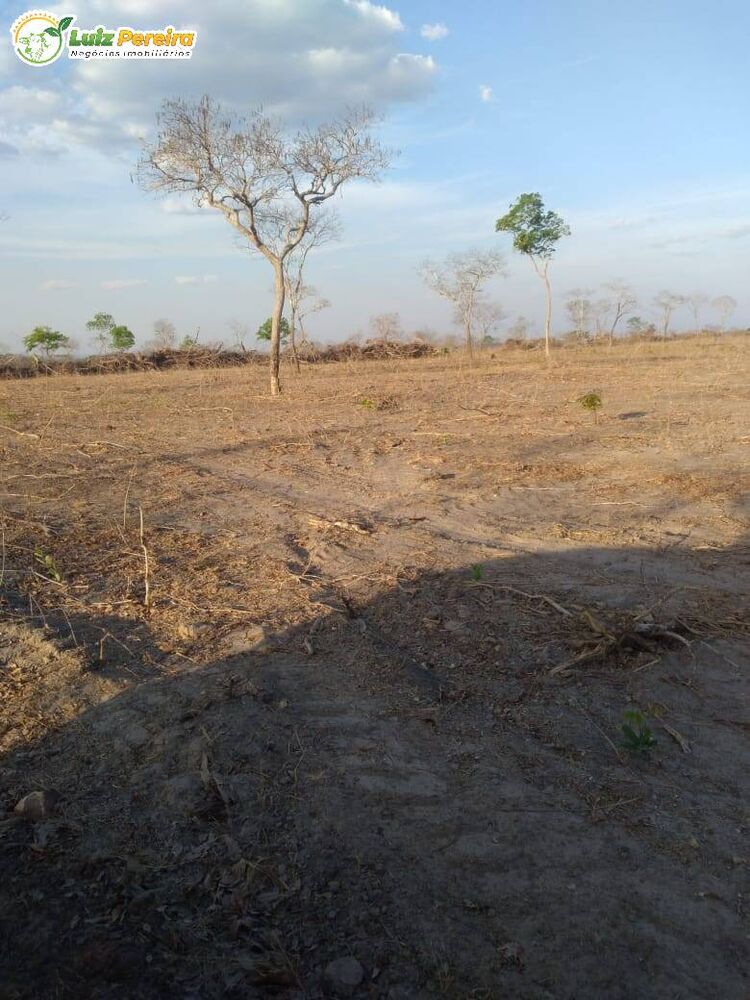 Terreno, 459 hectares - Foto 1