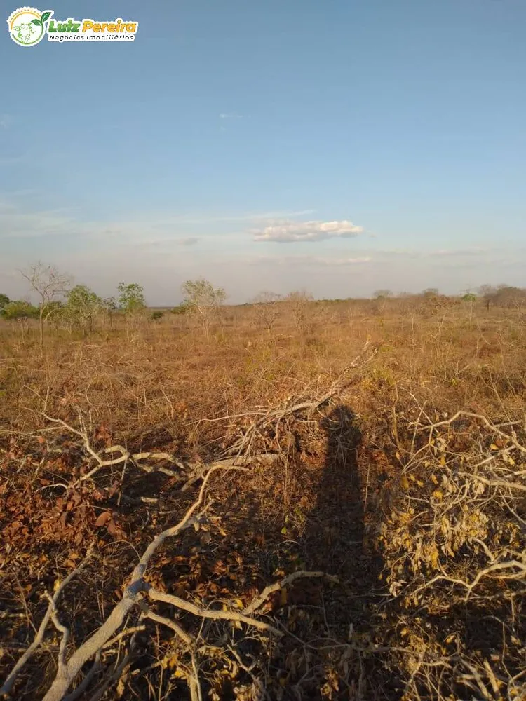 Terreno, 459 hectares - Foto 9