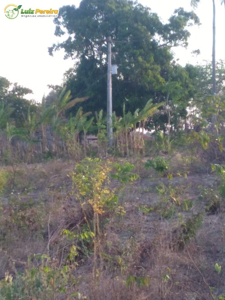 Terreno, 459 hectares - Foto 1