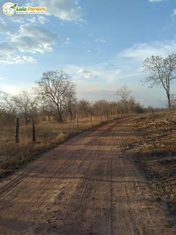 Terreno, 459 hectares - Foto 3
