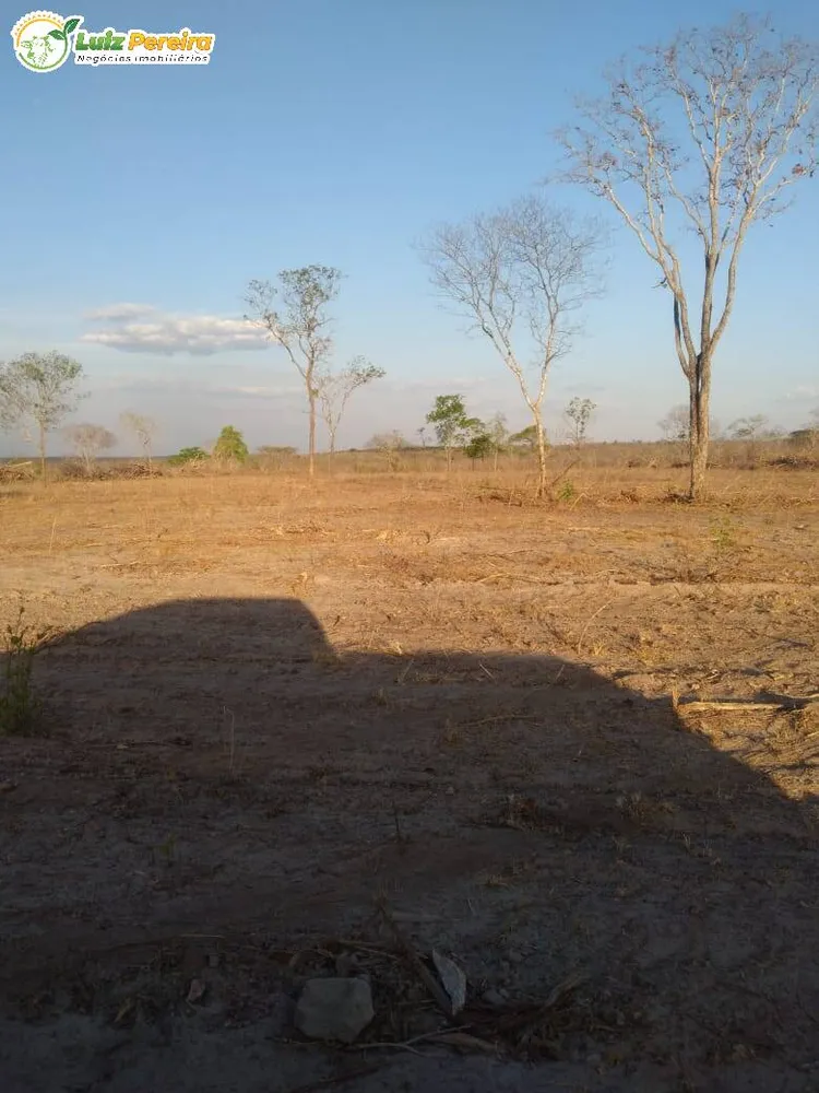 Terreno, 459 hectares - Foto 11