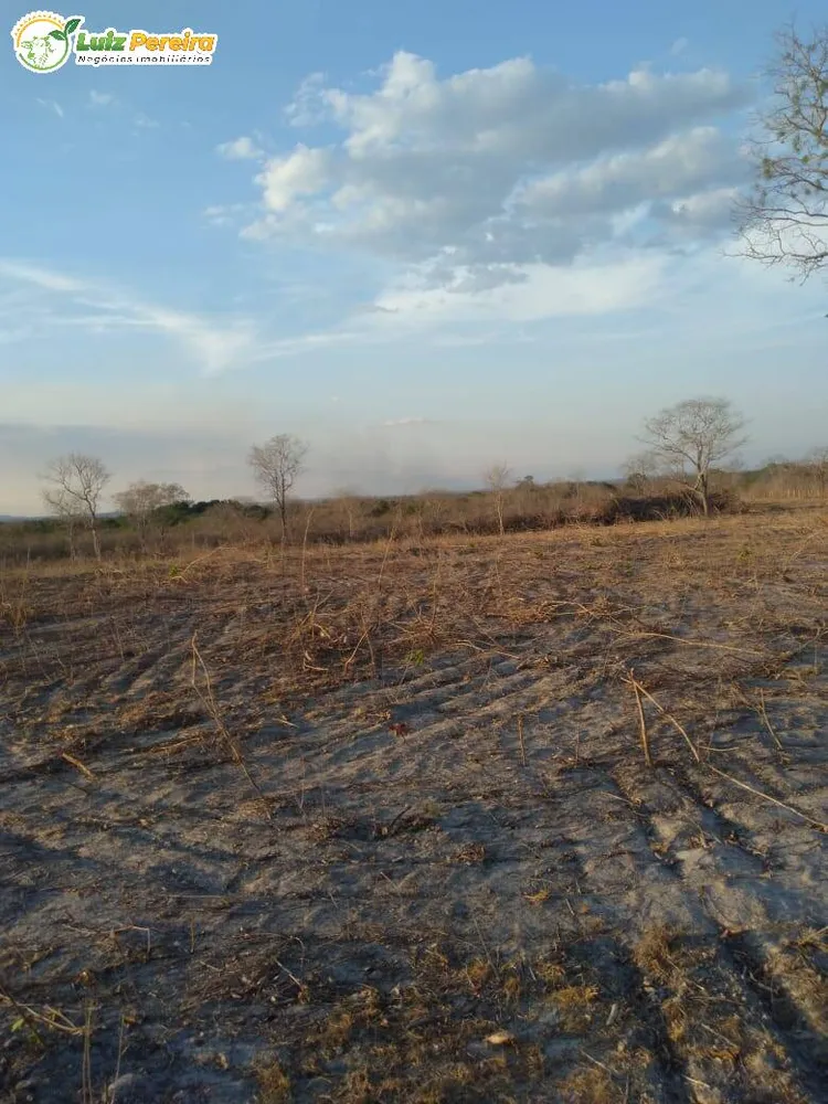 Terreno, 459 hectares - Foto 4