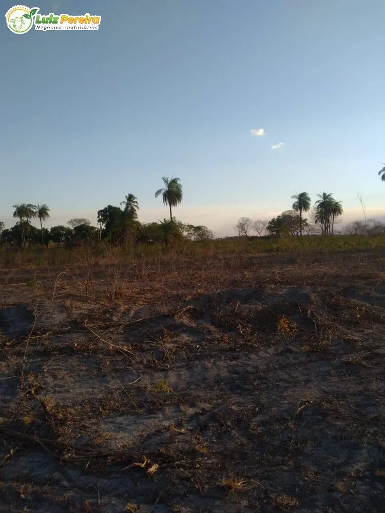 Terreno, 459 hectares - Foto 12