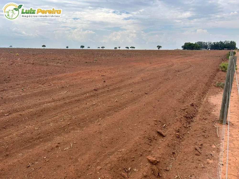 Terreno, 1 hectares - Foto 4