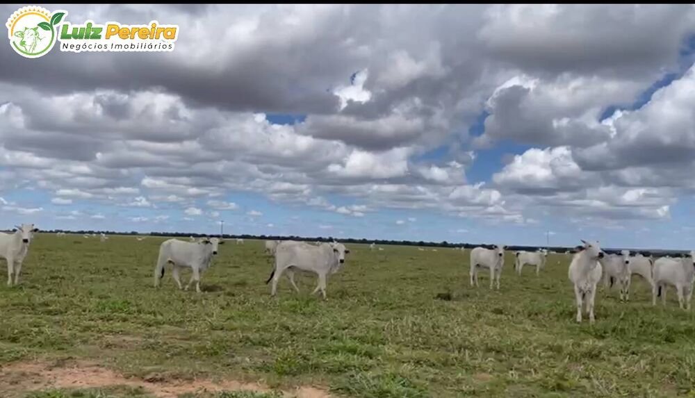 Terreno, 1 hectares - Foto 1