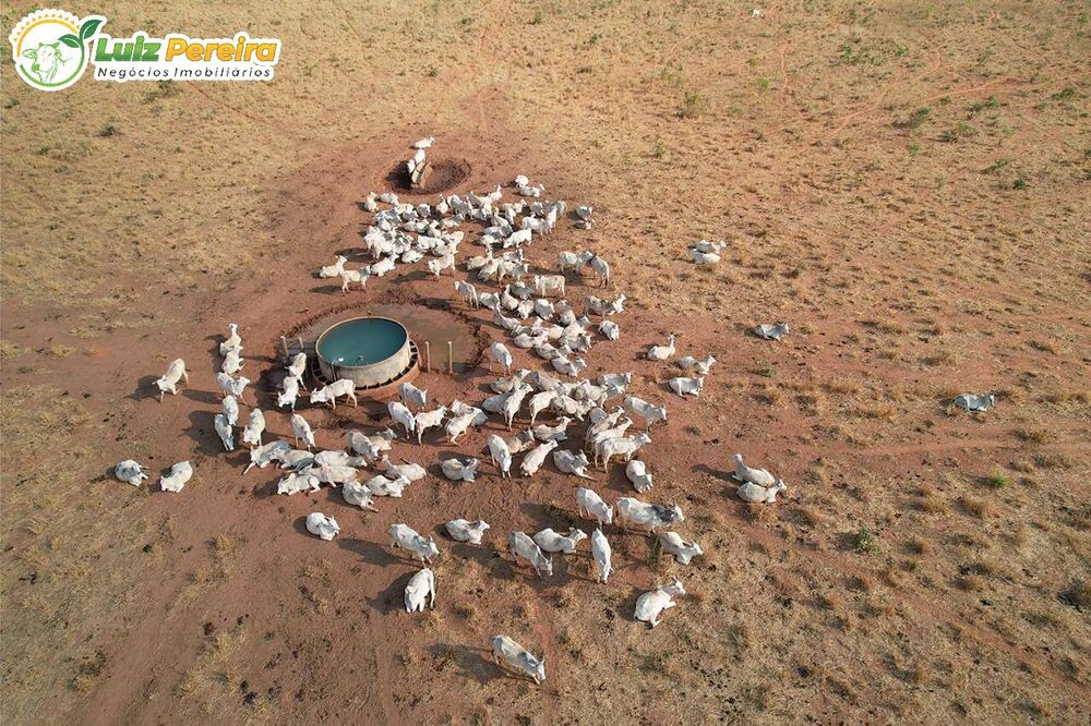 Terreno, 1 hectares - Foto 4