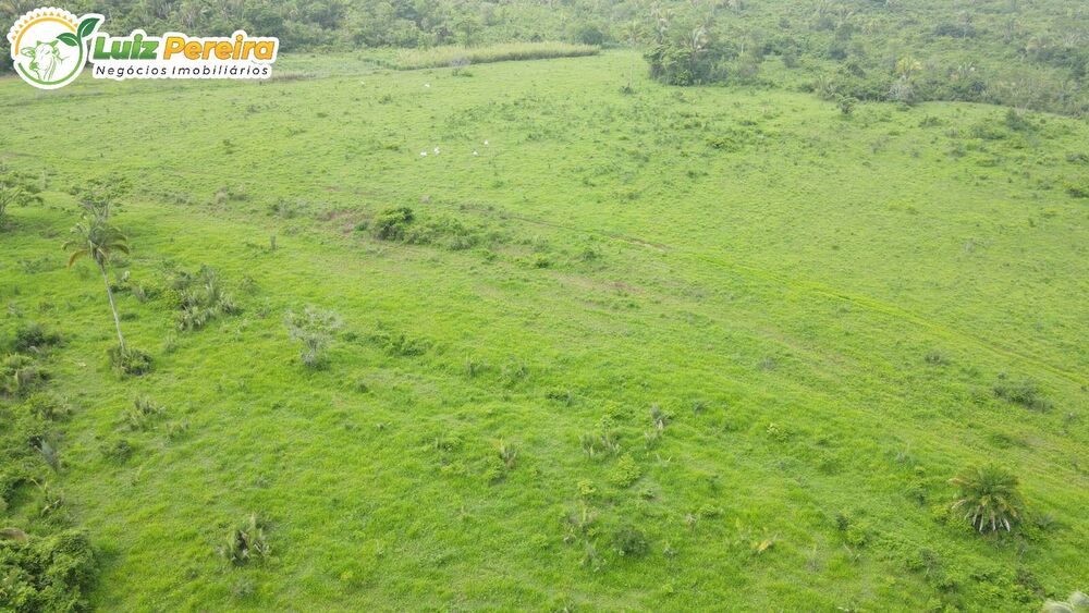 Terreno, 726 m² - Foto 4