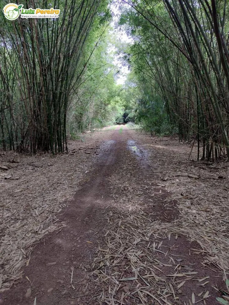 Terreno, 2 hectares - Foto 4