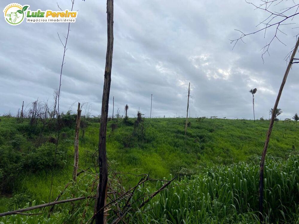 Terreno, 6051 m² - Foto 2