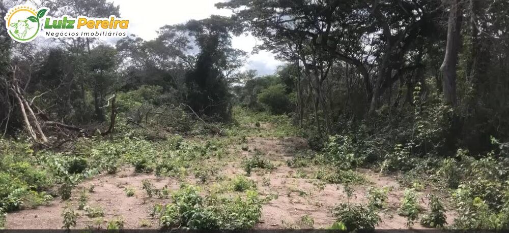 Terreno, 6051 m² - Foto 1