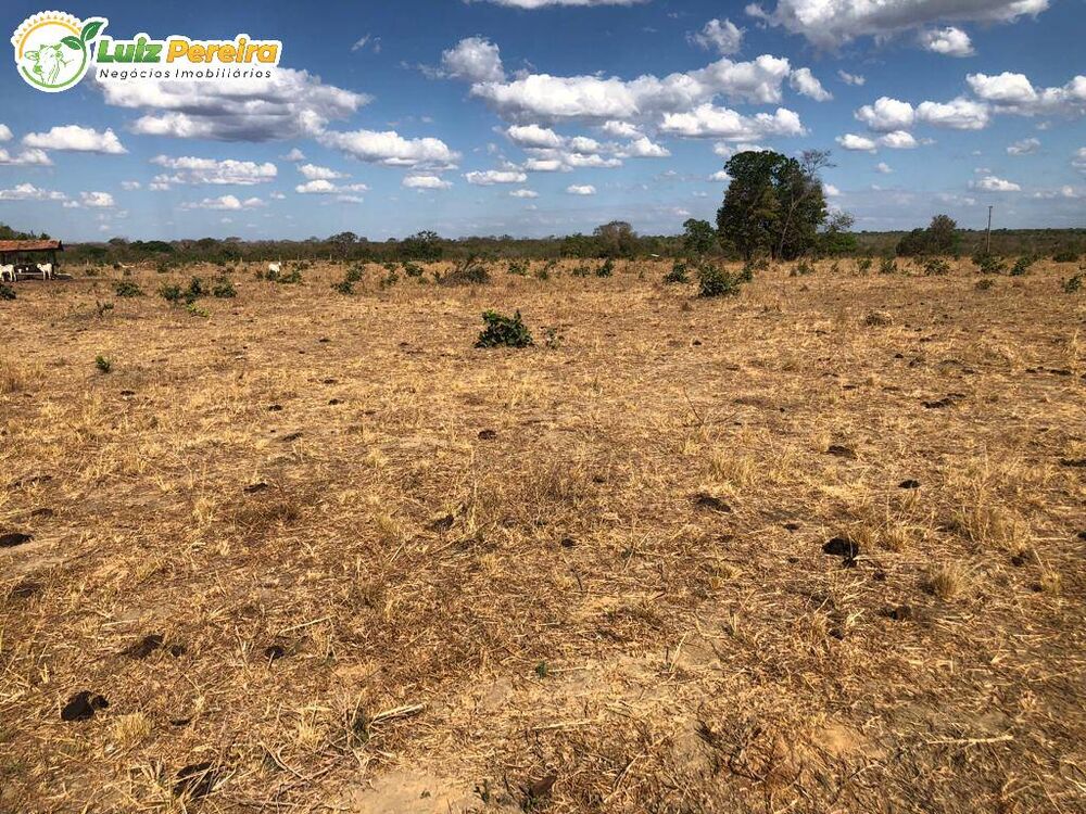 Terreno à venda, 13830000m² - Foto 3