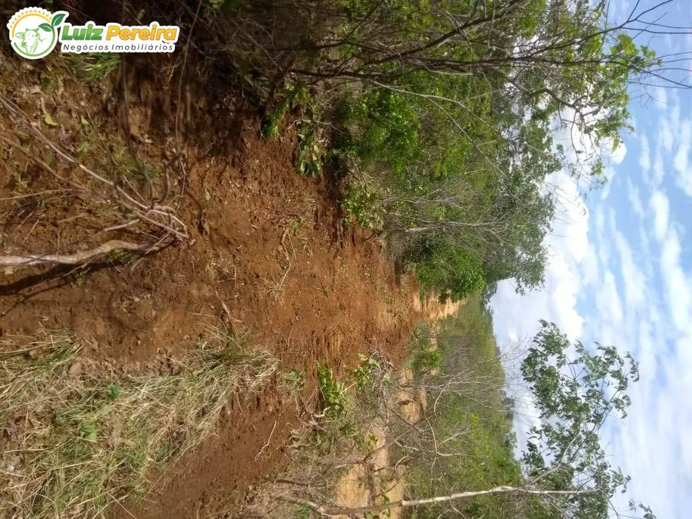 Terreno, 2060 m² - Foto 6