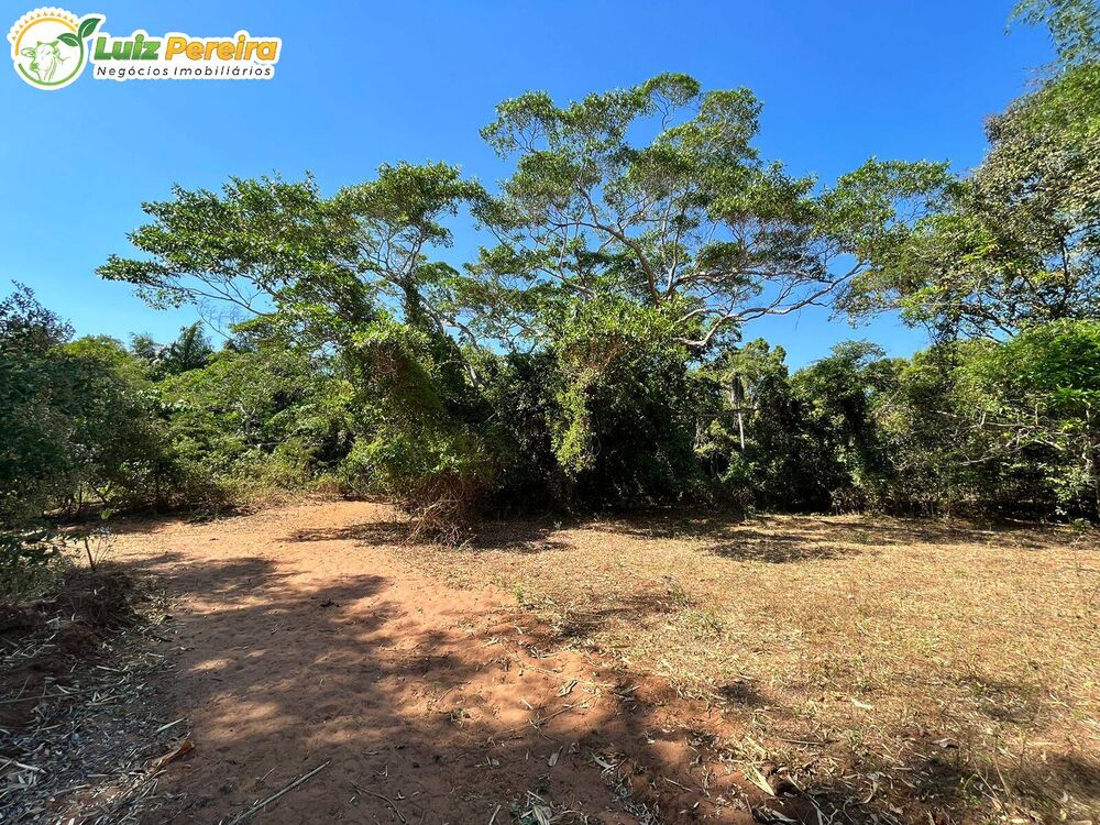 Terreno, 1543 m² - Foto 6