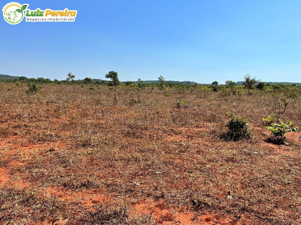 Terreno, 1543 m² - Foto 7