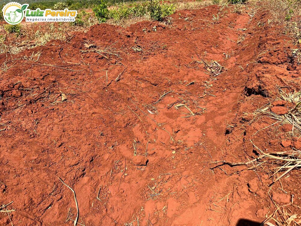 Terreno, 1543 m² - Foto 8