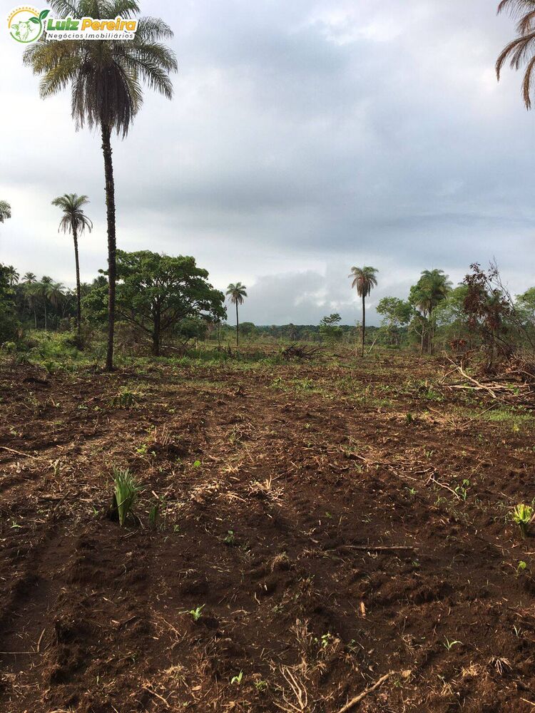 Terreno, 1543 m² - Foto 11