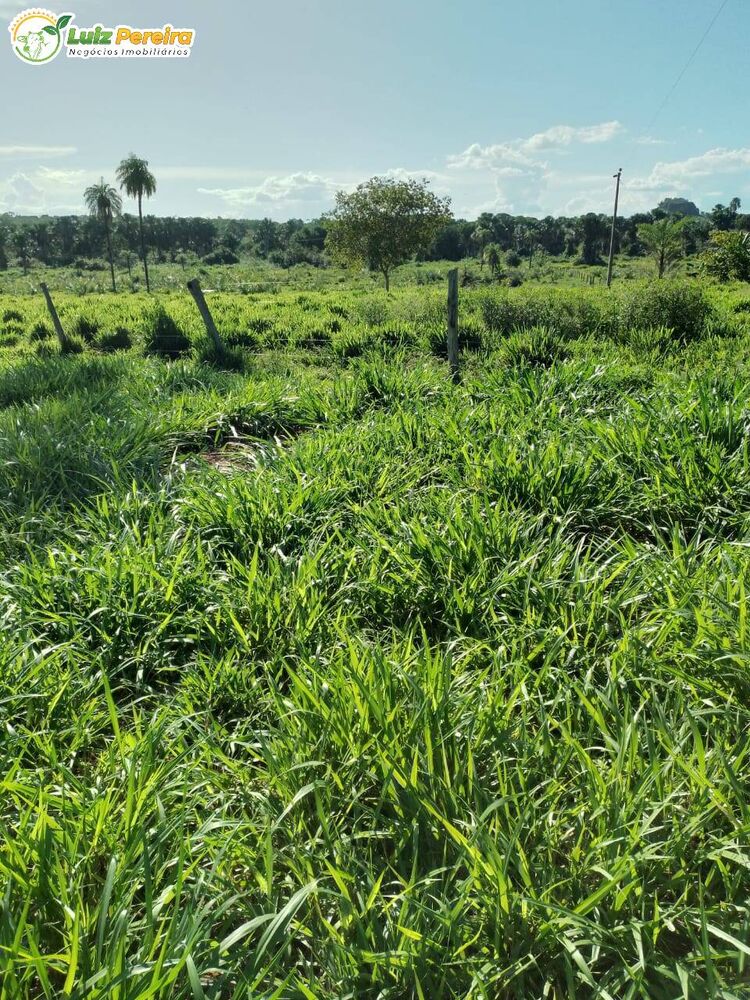 Terreno, 1543 m² - Foto 12