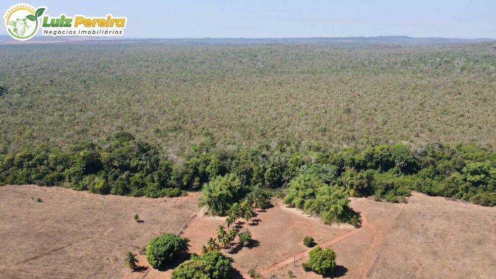 Terreno, 1543 m² - Foto 1