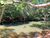 Terreno, 1543 m² - Foto 5