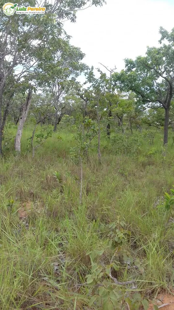 Terreno, 399 hectares - Foto 7