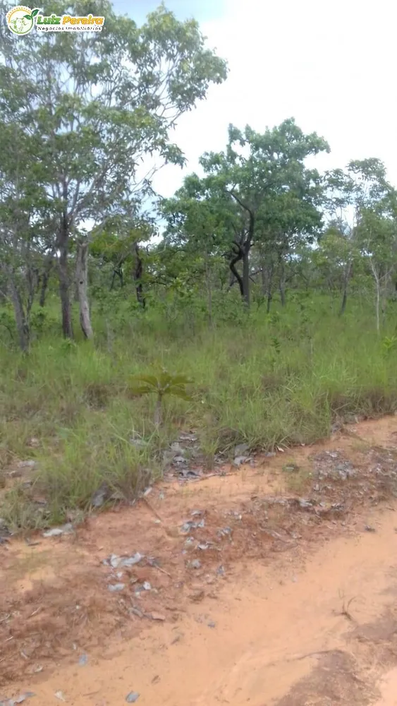 Terreno, 399 hectares - Foto 2