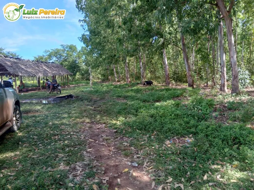 Terreno, 2630 m² - Foto 3