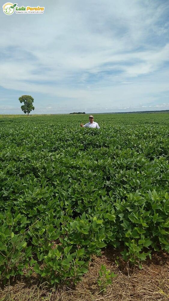 Terreno, 636 m² - Foto 3