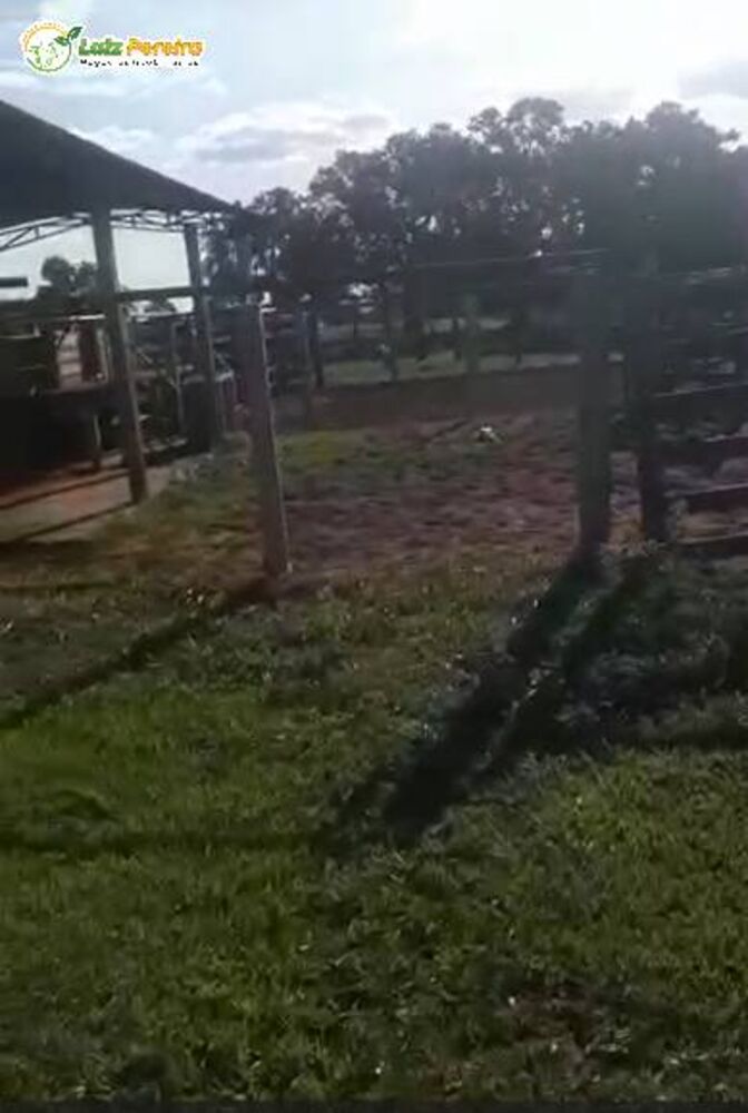 Terreno, 636 m² - Foto 7