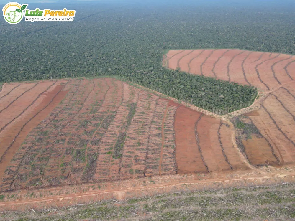 Terreno, 2 hectares - Foto 1