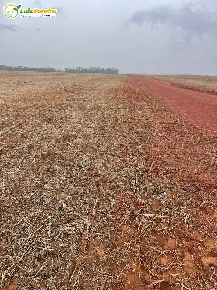 Terreno, 2 hectares - Foto 12